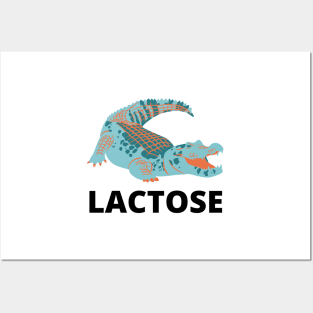 Lactose Crocodille Posters and Art